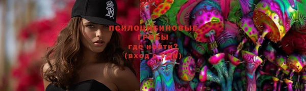 первитин Балахна